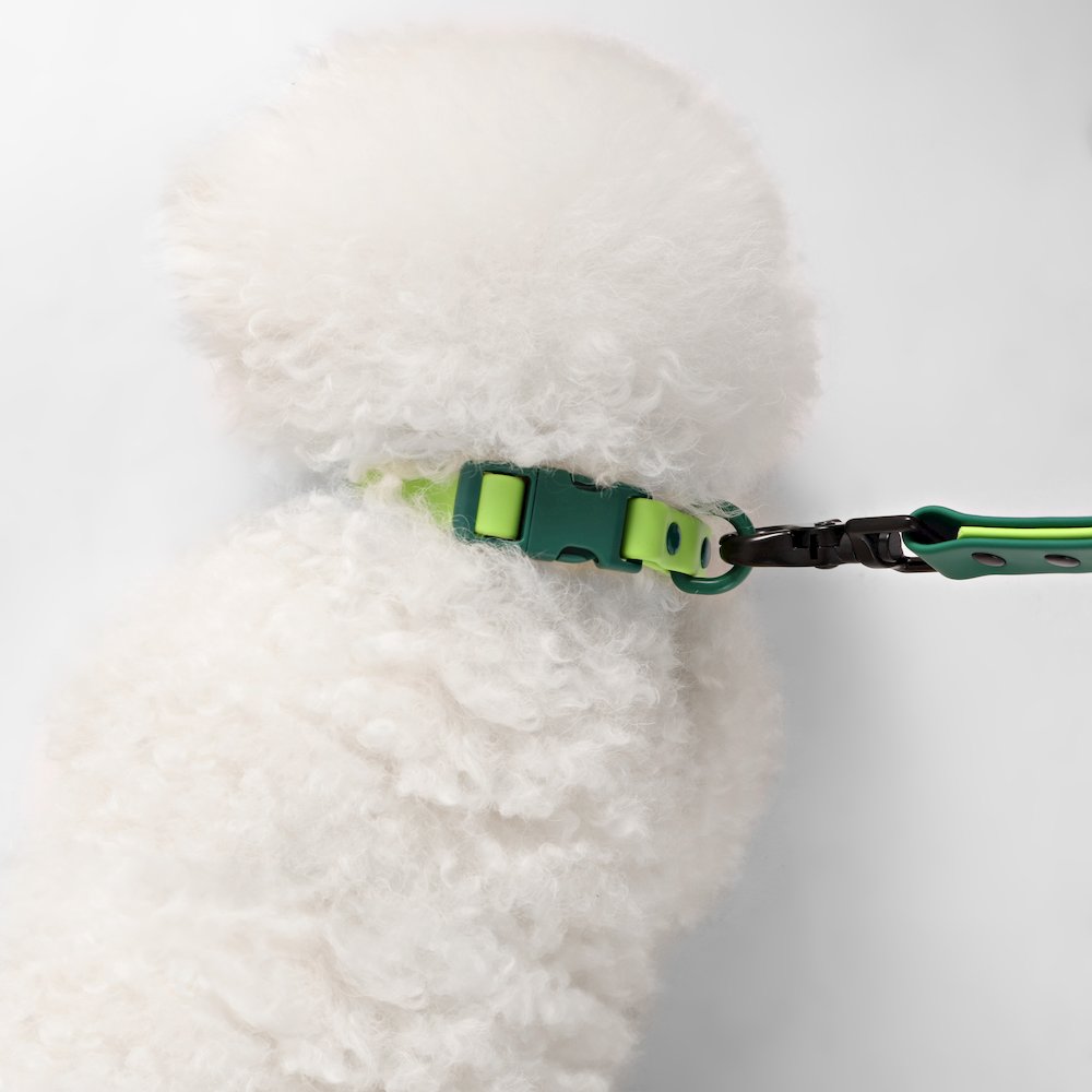 Adjustable 6-in-1 Waterproof Hands-Free Leash and Collar with LED Flashlight