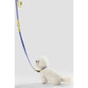 Adjustable 6-in-1 Waterproof Hands-Free Leash and Collar with LED Flashlight