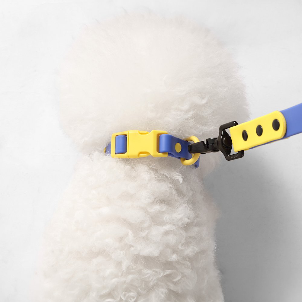 Adjustable 6-in-1 Waterproof Hands-Free Leash and Collar with LED Flashlight