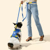 Adjustable 6-in-1 Waterproof Hands-Free Leash and Collar with LED Flashlight