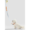 Adjustable 6-in-1 Waterproof Hands-Free Leash and Collar with LED Flashlight