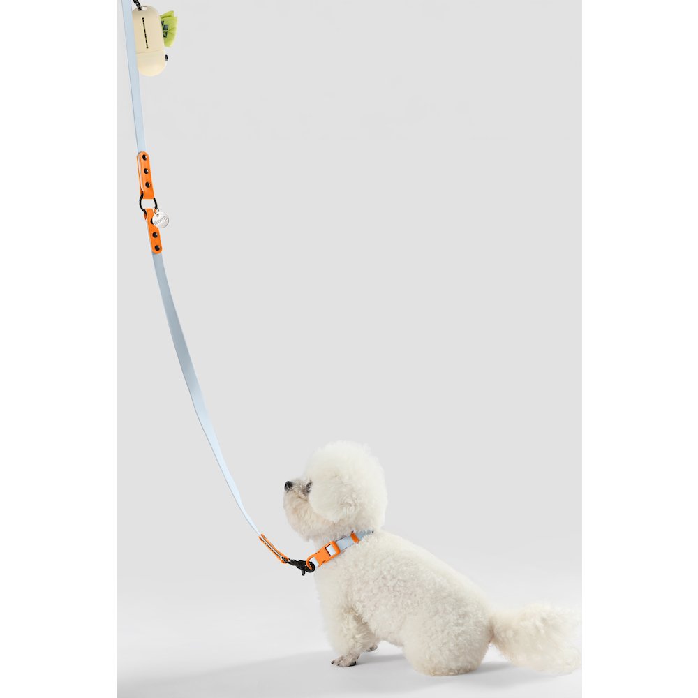 Adjustable 6-in-1 Waterproof Hands-Free Leash and Collar with LED Flashlight