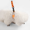 Adjustable 6-in-1 Waterproof Hands-Free Leash and Collar with LED Flashlight