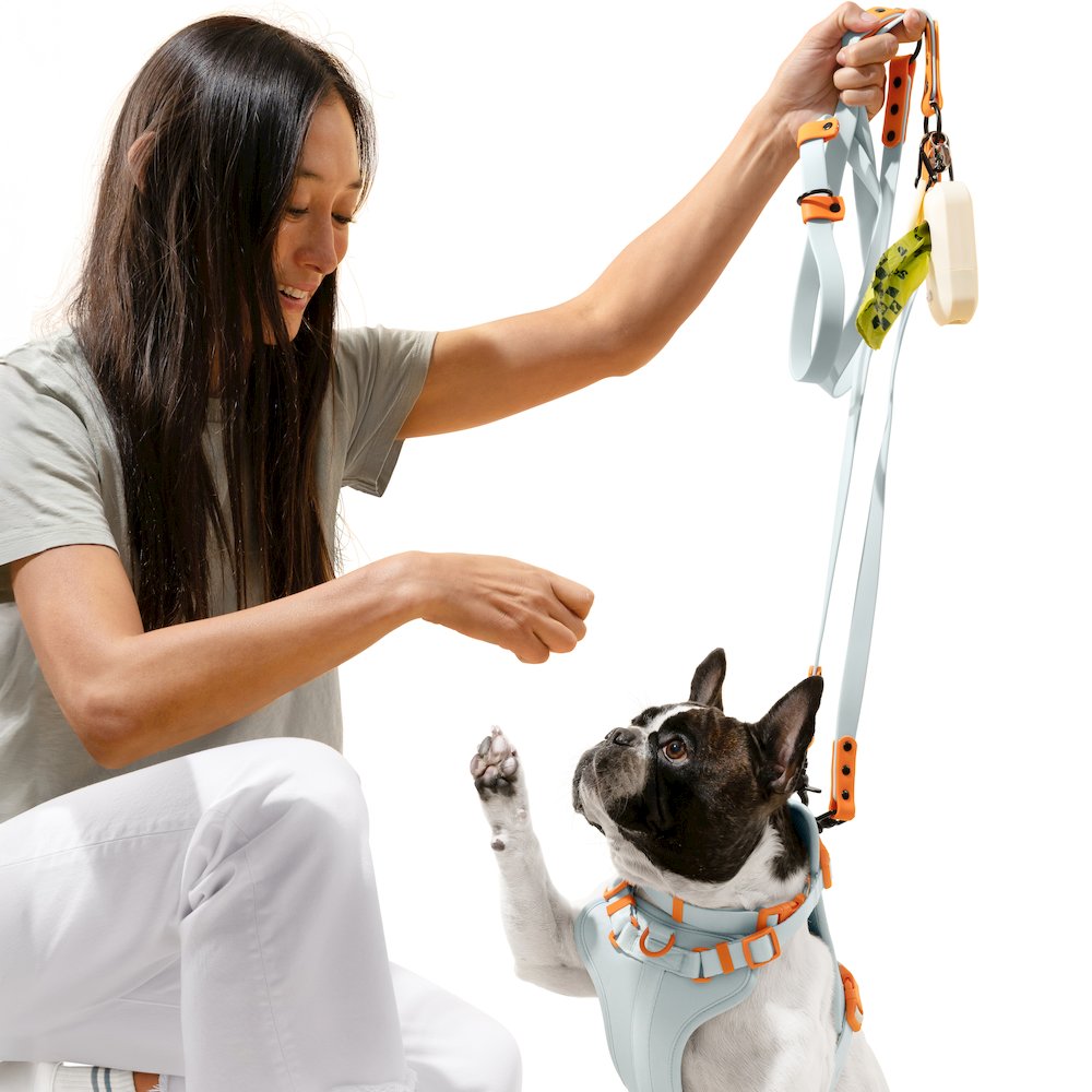 Adjustable 6-in-1 Waterproof Hands-Free Leash and Collar with LED Flashlight