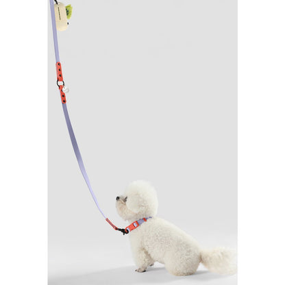 Adjustable 6-in-1 Waterproof Hands-Free Leash and Collar with LED Flashlight