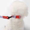 Adjustable 6-in-1 Waterproof Hands-Free Leash and Collar with LED Flashlight