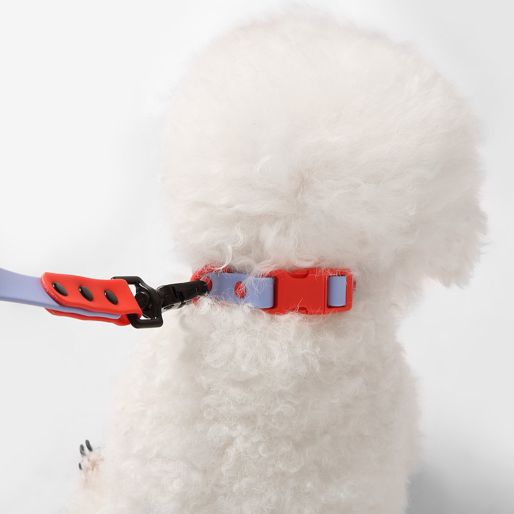 Adjustable 6-in-1 Waterproof Hands-Free Leash and Collar with LED Flashlight