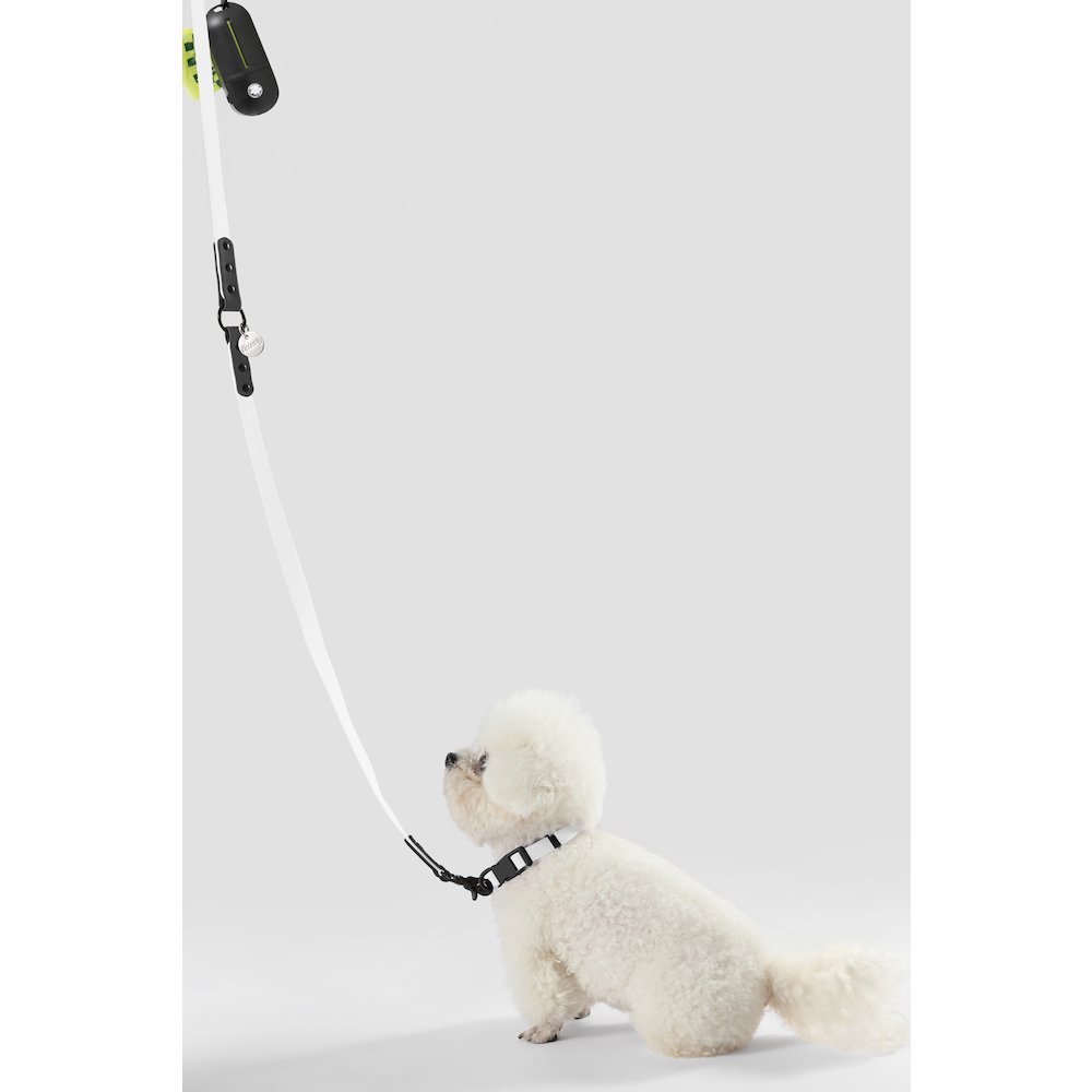 Adjustable 6-in-1 Waterproof Hands-Free Leash and Collar with LED Flashlight