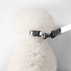 Adjustable 6-in-1 Waterproof Hands-Free Leash and Collar with LED Flashlight