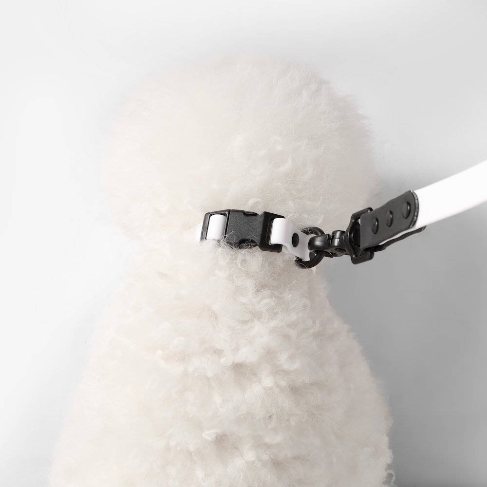 Adjustable 6-in-1 Waterproof Hands-Free Leash and Collar with LED Flashlight