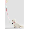 Adjustable 6-in-1 Waterproof Hands-Free Leash and Collar with LED Flashlight