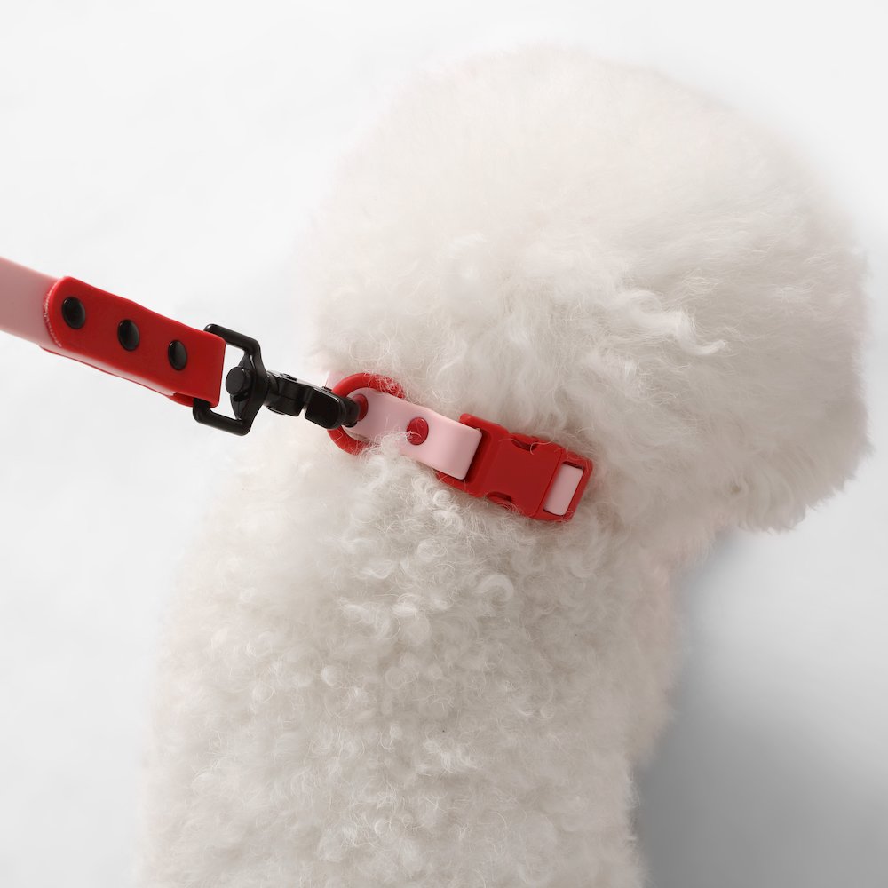 Adjustable 6-in-1 Waterproof Hands-Free Leash and Collar with LED Flashlight