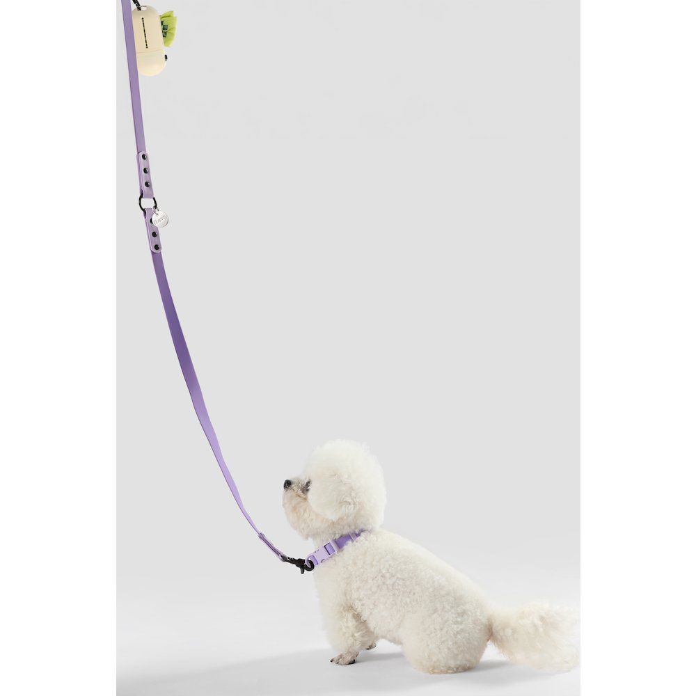 Adjustable 6-in-1 Waterproof Hands-Free Leash and Collar with LED Flashlight