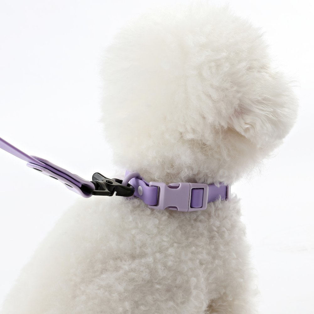 Adjustable 6-in-1 Waterproof Hands-Free Leash and Collar with LED Flashlight