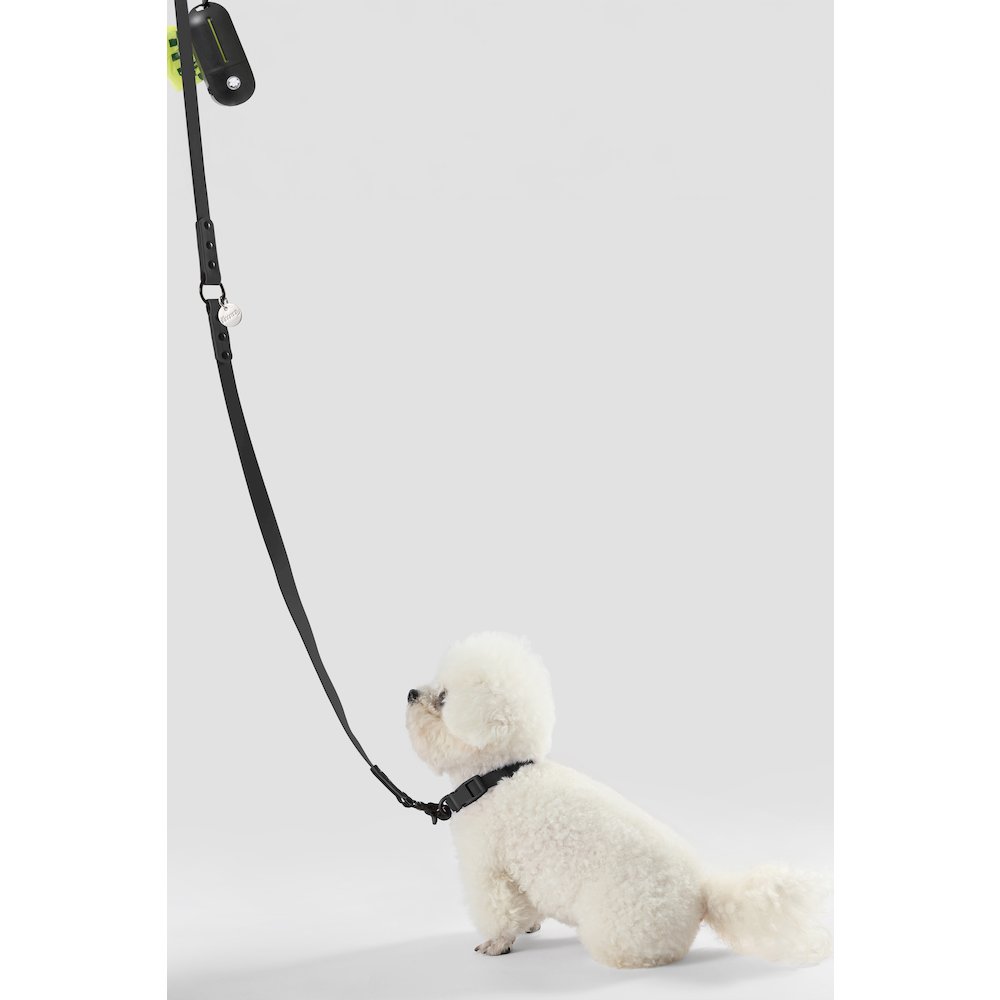 Adjustable 6-in-1 Waterproof Hands-Free Leash and Collar with LED Flashlight