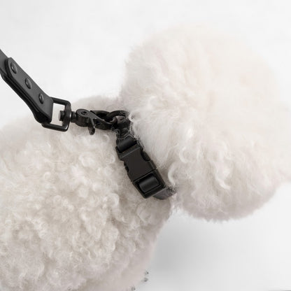 Adjustable 6-in-1 Waterproof Hands-Free Leash and Collar with LED Flashlight