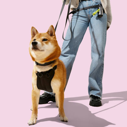 Adjustable 6-in-1 Waterproof Hands-Free Leash and Collar with LED Flashlight
