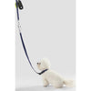 Adjustable 6-in-1 Waterproof Hands-Free Leash and Collar with LED Flashlight
