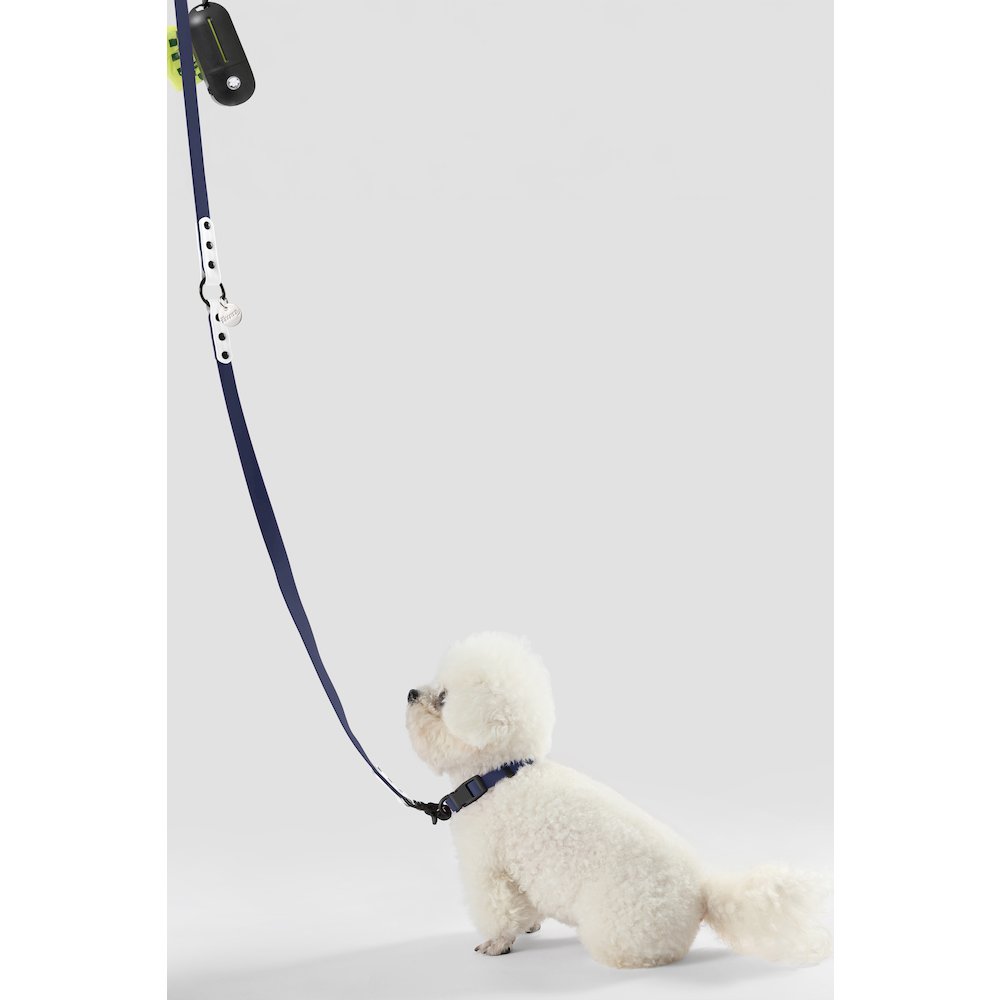 Adjustable 6-in-1 Waterproof Hands-Free Leash and Collar with LED Flashlight