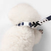 Adjustable 6-in-1 Waterproof Hands-Free Leash and Collar with LED Flashlight