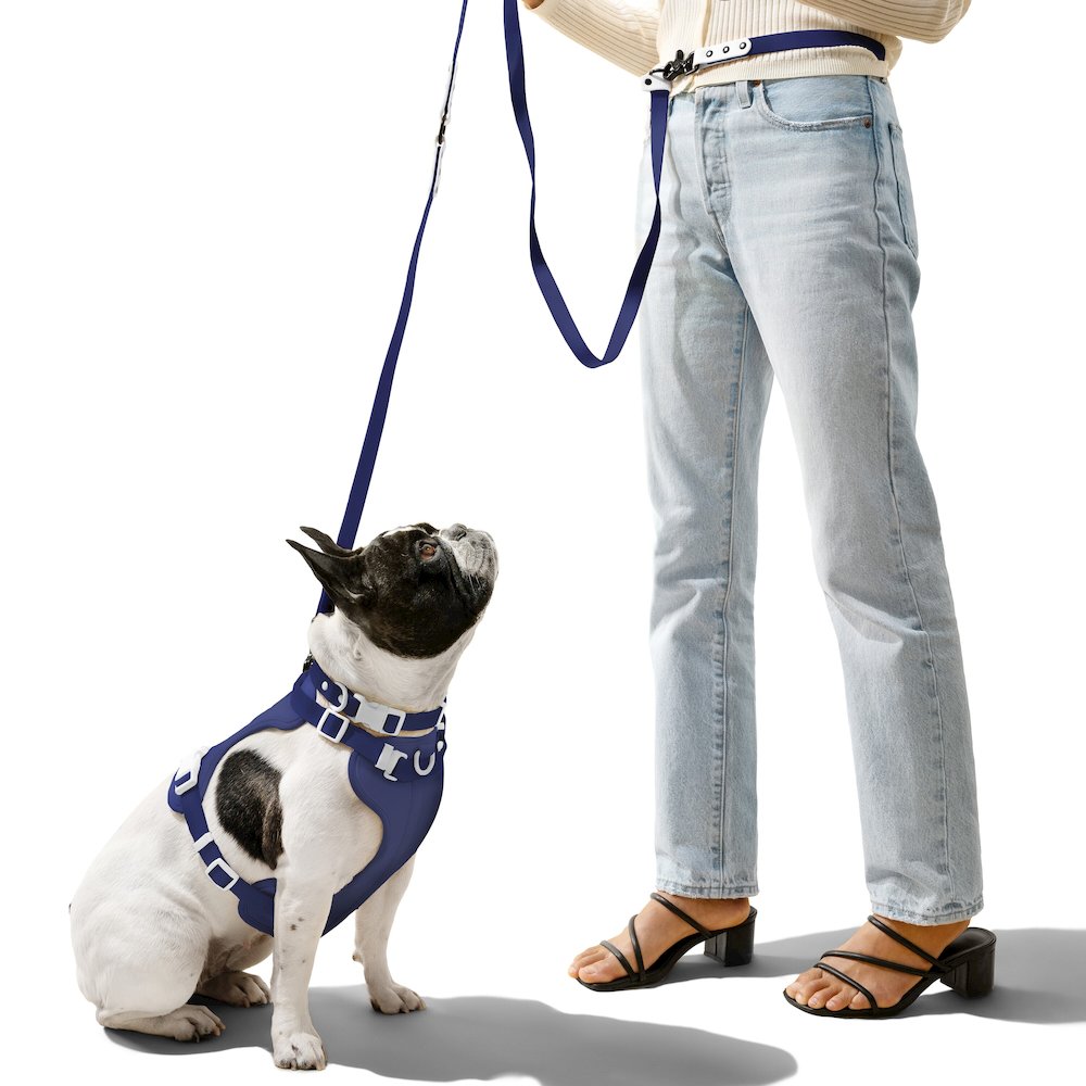 Adjustable 6-in-1 Waterproof Hands-Free Leash and Collar with LED Flashlight