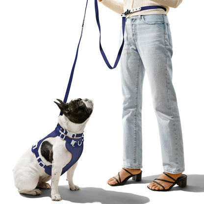 Adjustable 6-in-1 Waterproof Hands-Free Leash and Collar with LED Flashlight