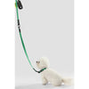 Adjustable 6-in-1 Waterproof Hands-Free Leash and Collar with LED Flashlight