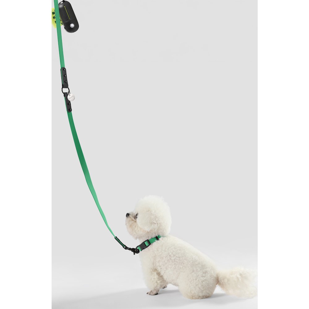 Adjustable 6-in-1 Waterproof Hands-Free Leash and Collar with LED Flashlight
