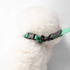 Adjustable 6-in-1 Waterproof Hands-Free Leash and Collar with LED Flashlight