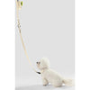 Adjustable 6-in-1 Waterproof Hands-Free Leash and Collar with LED Flashlight