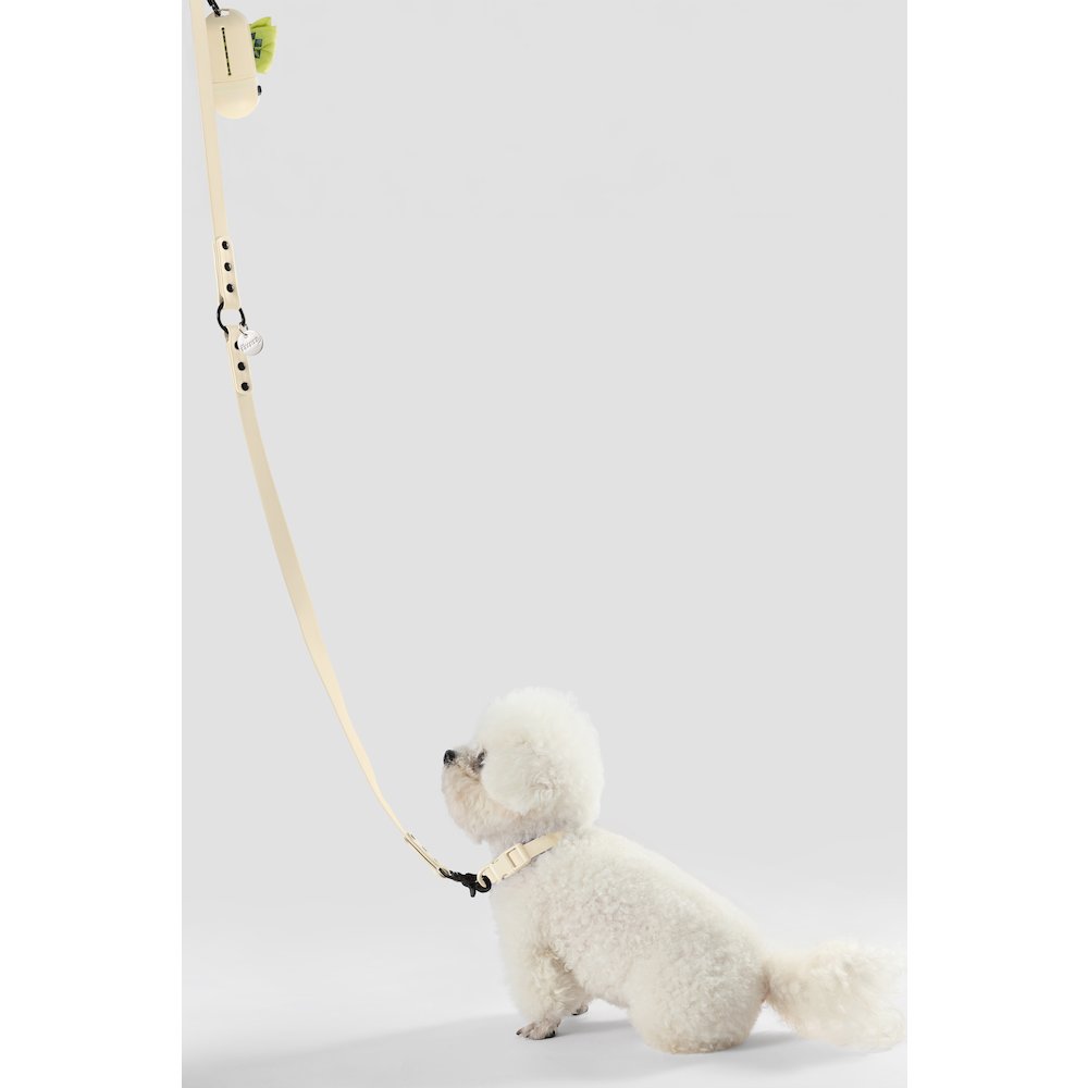 Adjustable 6-in-1 Waterproof Hands-Free Leash and Collar with LED Flashlight