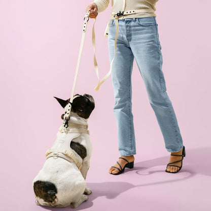 Adjustable 6-in-1 Waterproof Hands-Free Leash and Collar with LED Flashlight