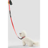 Adjustable 6-in-1 Waterproof Hands-Free Leash and Collar with LED Flashlight