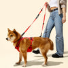 Adjustable 6-in-1 Waterproof Hands-Free Leash and Collar with LED Flashlight