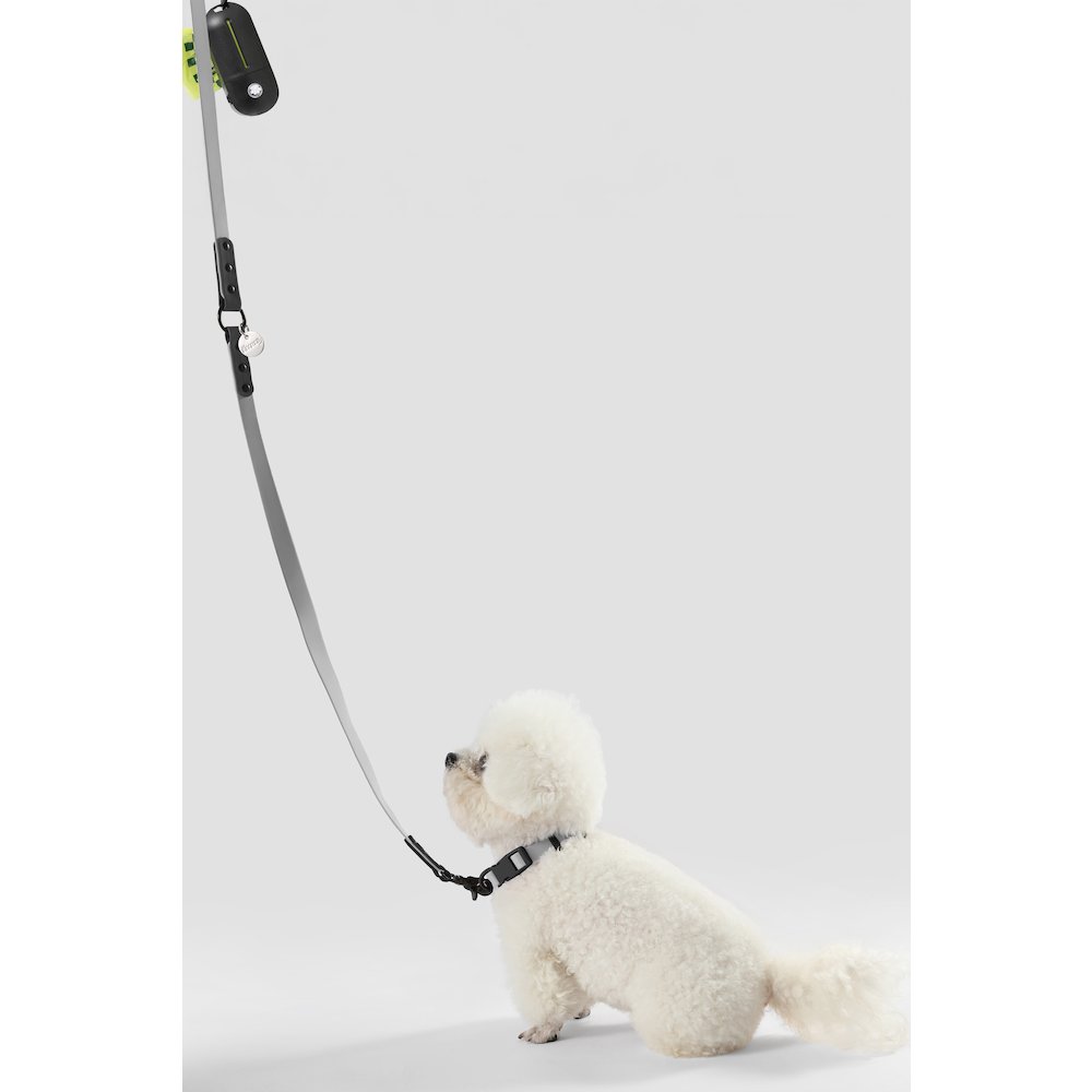 Adjustable 6-in-1 Waterproof Hands-Free Leash and Collar with LED Flashlight