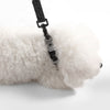 Adjustable 6-in-1 Waterproof Hands-Free Leash and Collar with LED Flashlight