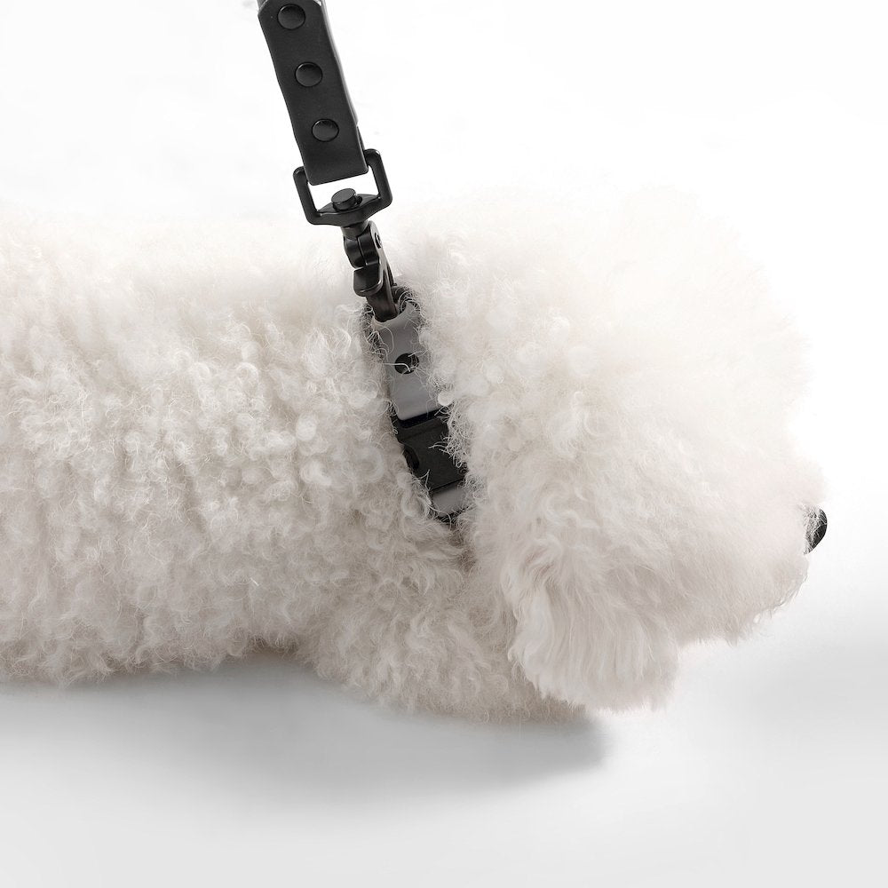 Adjustable 6-in-1 Waterproof Hands-Free Leash and Collar with LED Flashlight