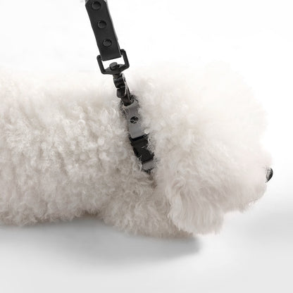 Adjustable 6-in-1 Waterproof Hands-Free Leash and Collar with LED Flashlight