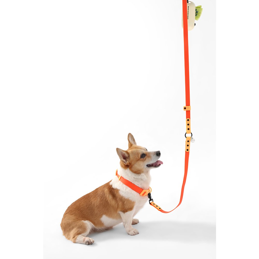 Adjustable 6-in-1 Waterproof Hands-Free Leash and Collar with LED Flashlight