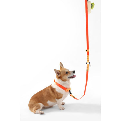 Adjustable 6-in-1 Waterproof Hands-Free Leash and Collar with LED Flashlight