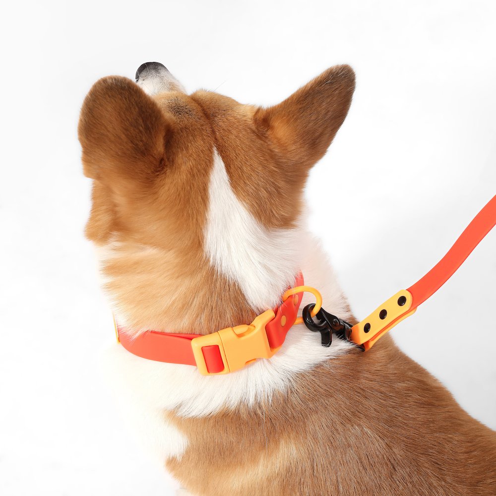 Adjustable 6-in-1 Waterproof Hands-Free Leash and Collar with LED Flashlight