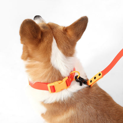 Adjustable 6-in-1 Waterproof Hands-Free Leash and Collar with LED Flashlight