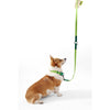Adjustable 6-in-1 Waterproof Hands-Free Leash and Collar with LED Flashlight