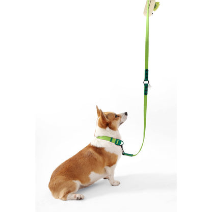 Adjustable 6-in-1 Waterproof Hands-Free Leash and Collar with LED Flashlight