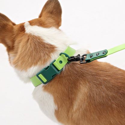 Adjustable 6-in-1 Waterproof Hands-Free Leash and Collar with LED Flashlight