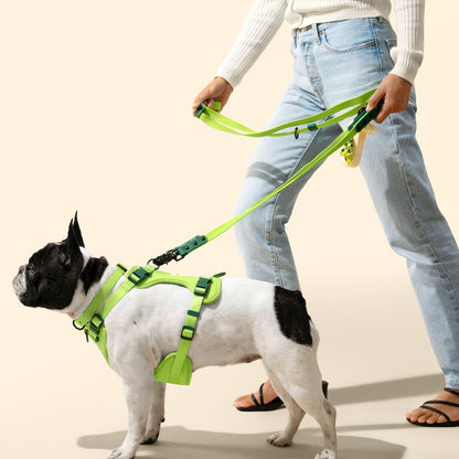 Adjustable 6-in-1 Waterproof Hands-Free Leash and Collar with LED Flashlight