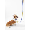 Adjustable 6-in-1 Waterproof Hands-Free Leash and Collar with LED Flashlight