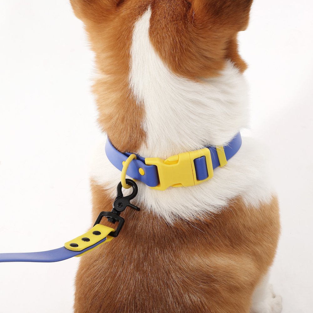 Adjustable 6-in-1 Waterproof Hands-Free Leash and Collar with LED Flashlight