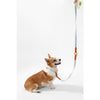 Adjustable 6-in-1 Waterproof Hands-Free Leash and Collar with LED Flashlight