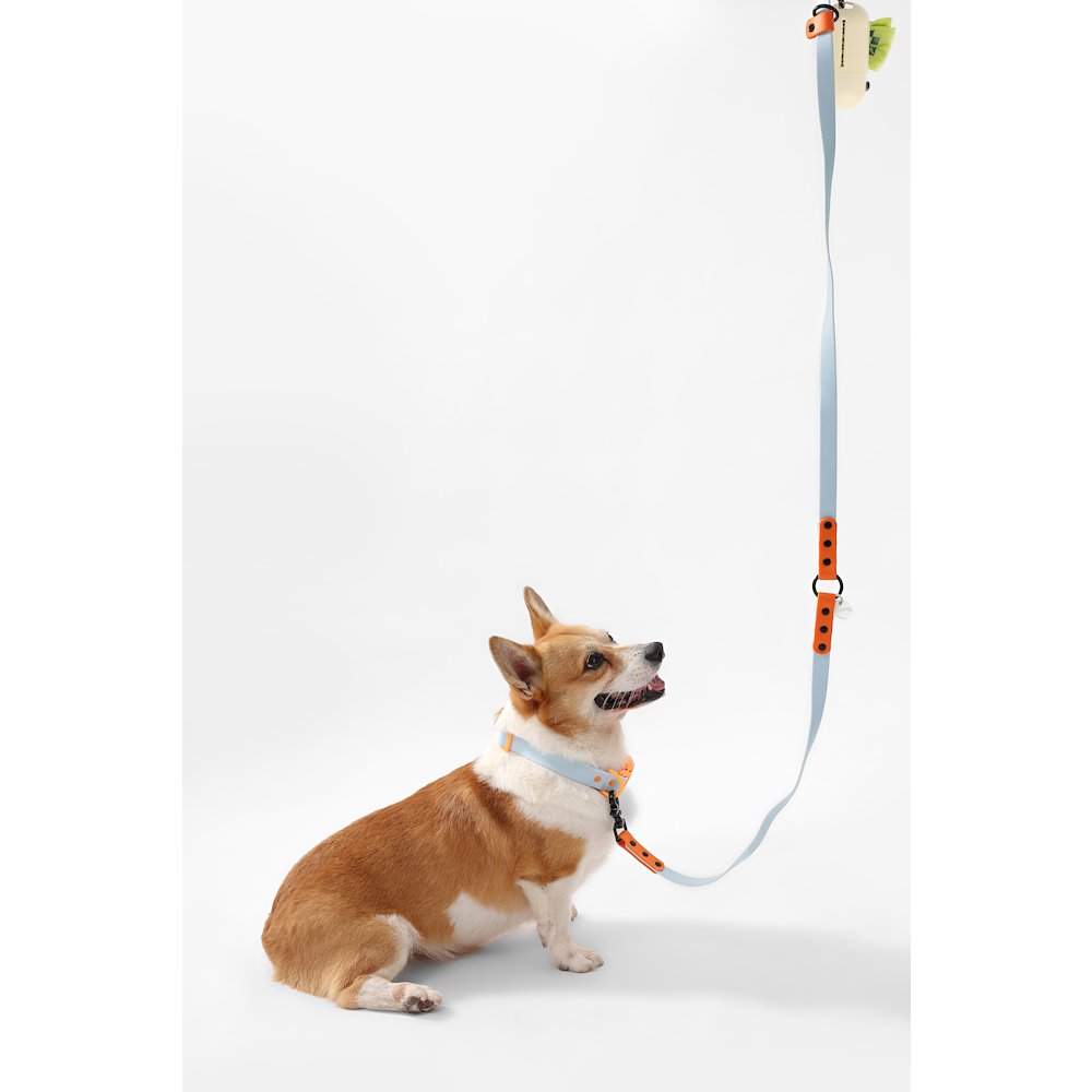 Adjustable 6-in-1 Waterproof Hands-Free Leash and Collar with LED Flashlight